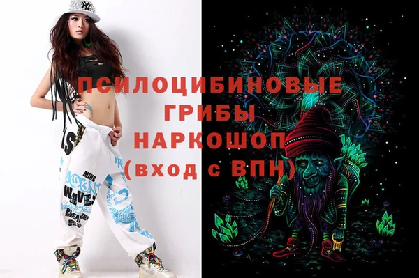 крисы Балахна