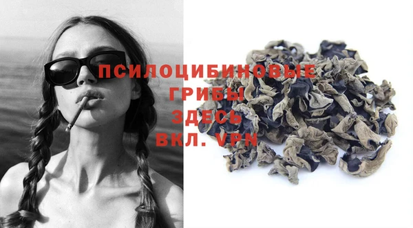 крисы Балахна