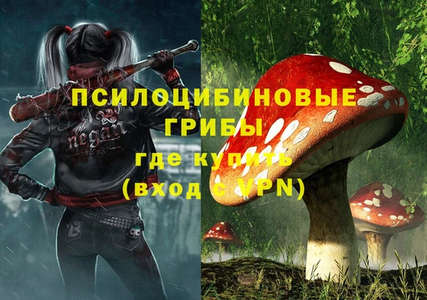 ПСИЛОЦИБИНОВЫЕ ГРИБЫ Балабаново